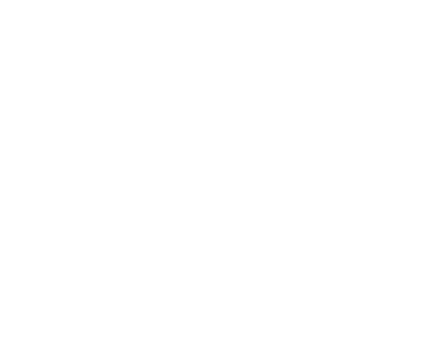 DCS Group
